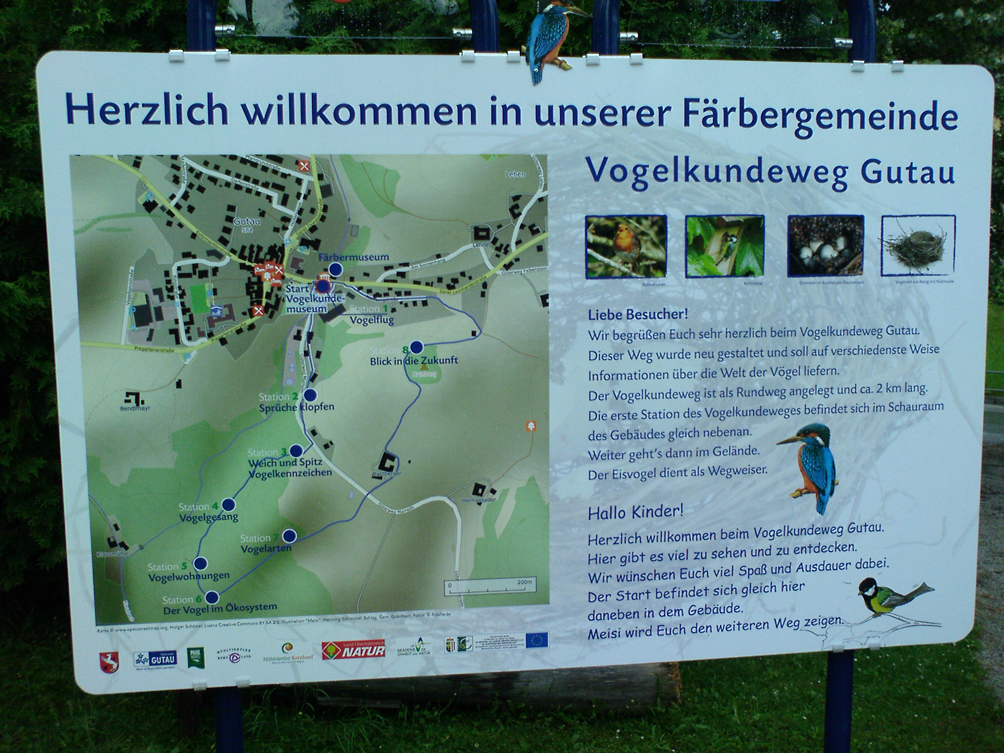 Information Display of the Birds Learning Path in Gutau